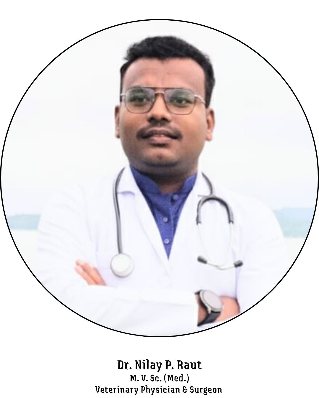 Dr. Nilay P. Raut